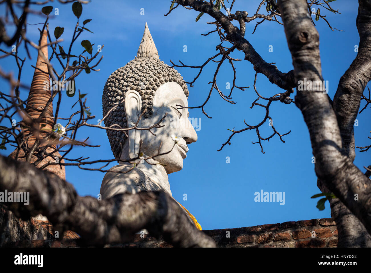 Grande statua del Buddha in Wat Yai Chai Mongkol monastero di Ayuttaya, Thailandia Foto Stock