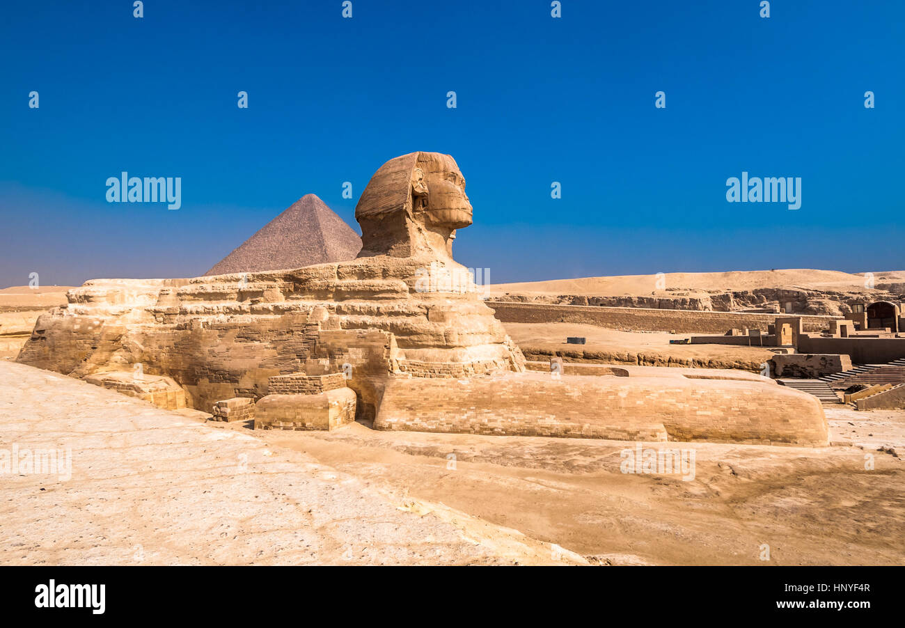 La sfinge e le piramidi di Giza, Il Cairo Foto Stock