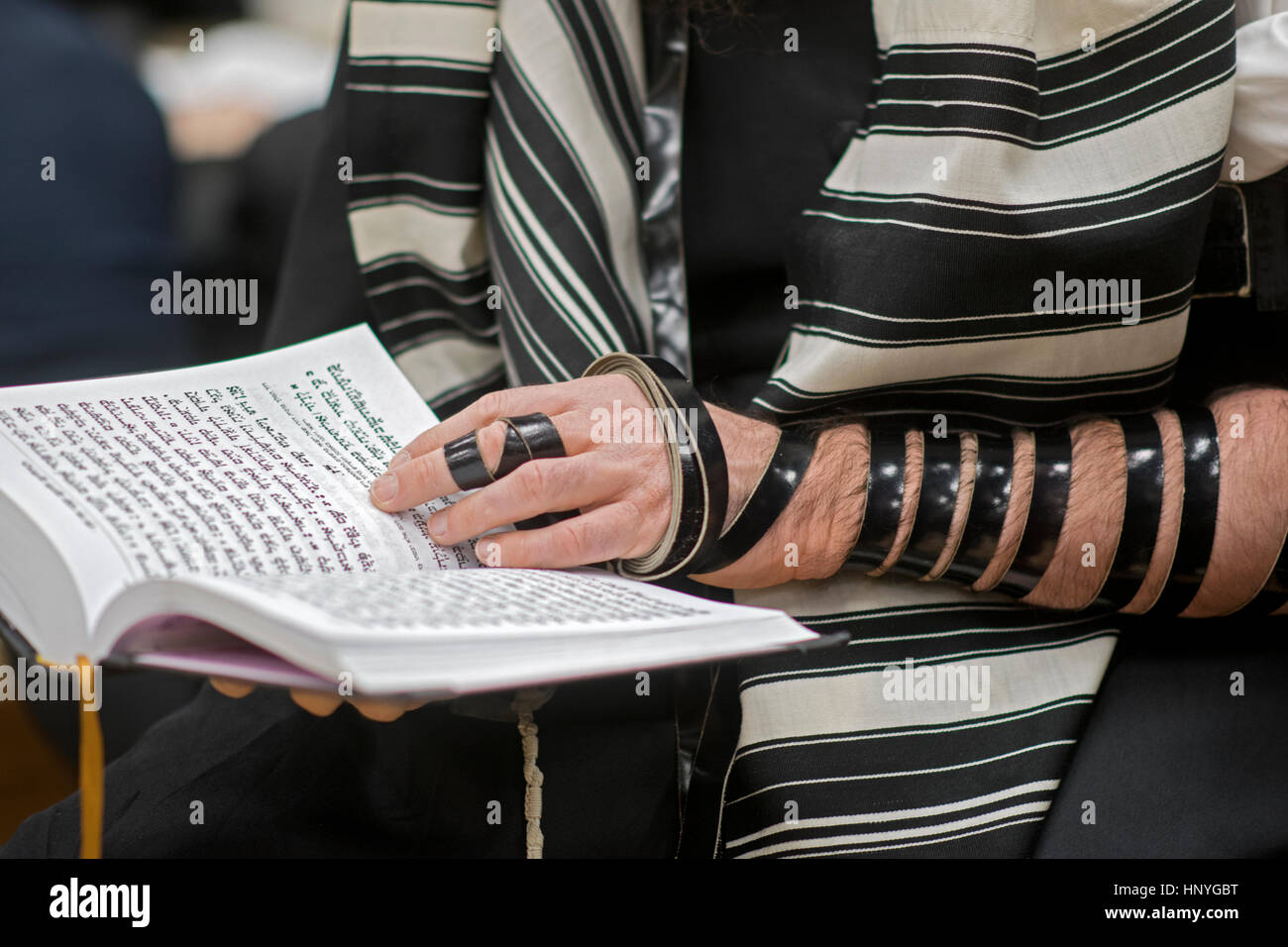 Un uomo ebraico ortodosso che indossa filatteri in un servizio mattutino nei giorni feriali in una sinagoga a Crown Heights, Brooklyn, New York. Foto Stock