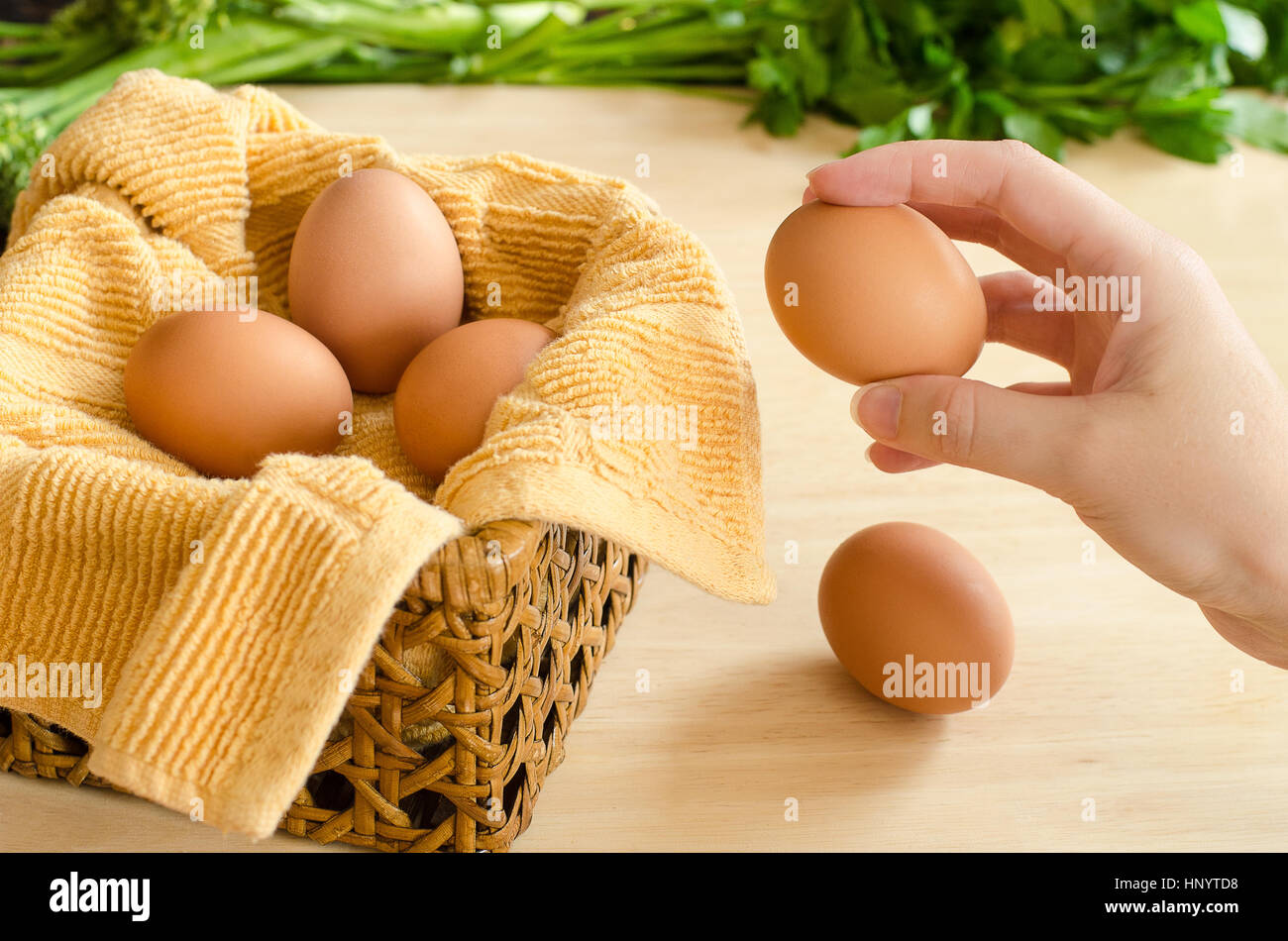 Ponendo mano tutte le uova nello stesso paniere Foto Stock