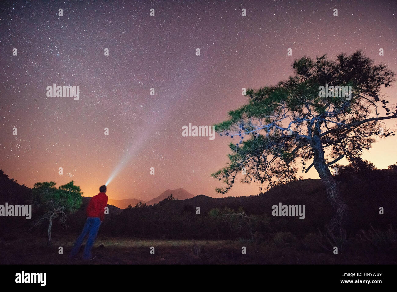 Persona che sta guardando il cielo stellato Foto Stock