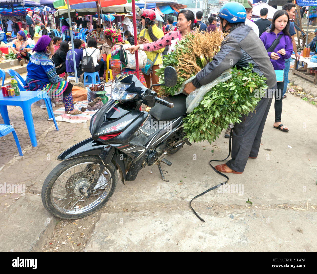Scarico per motociclisti raccolte sedano a Bac Ha Farmers Market, motociclo, modalità di trasporto, Bac Ha. Foto Stock