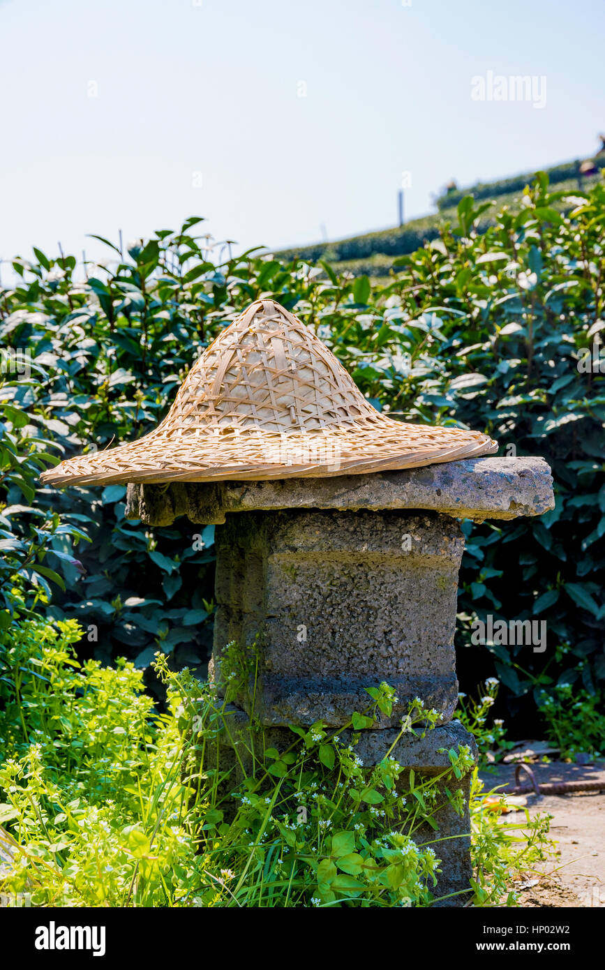 Coltivatori di tè hat nel tè Longjing campi Foto Stock