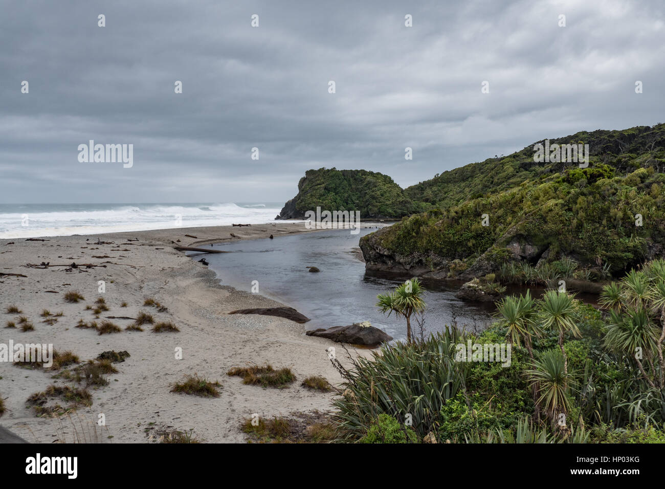 Nave Creek e Kahikatea palude foresta, Haast autostrada, South Island, in Nuova Zelanda. Foto Stock