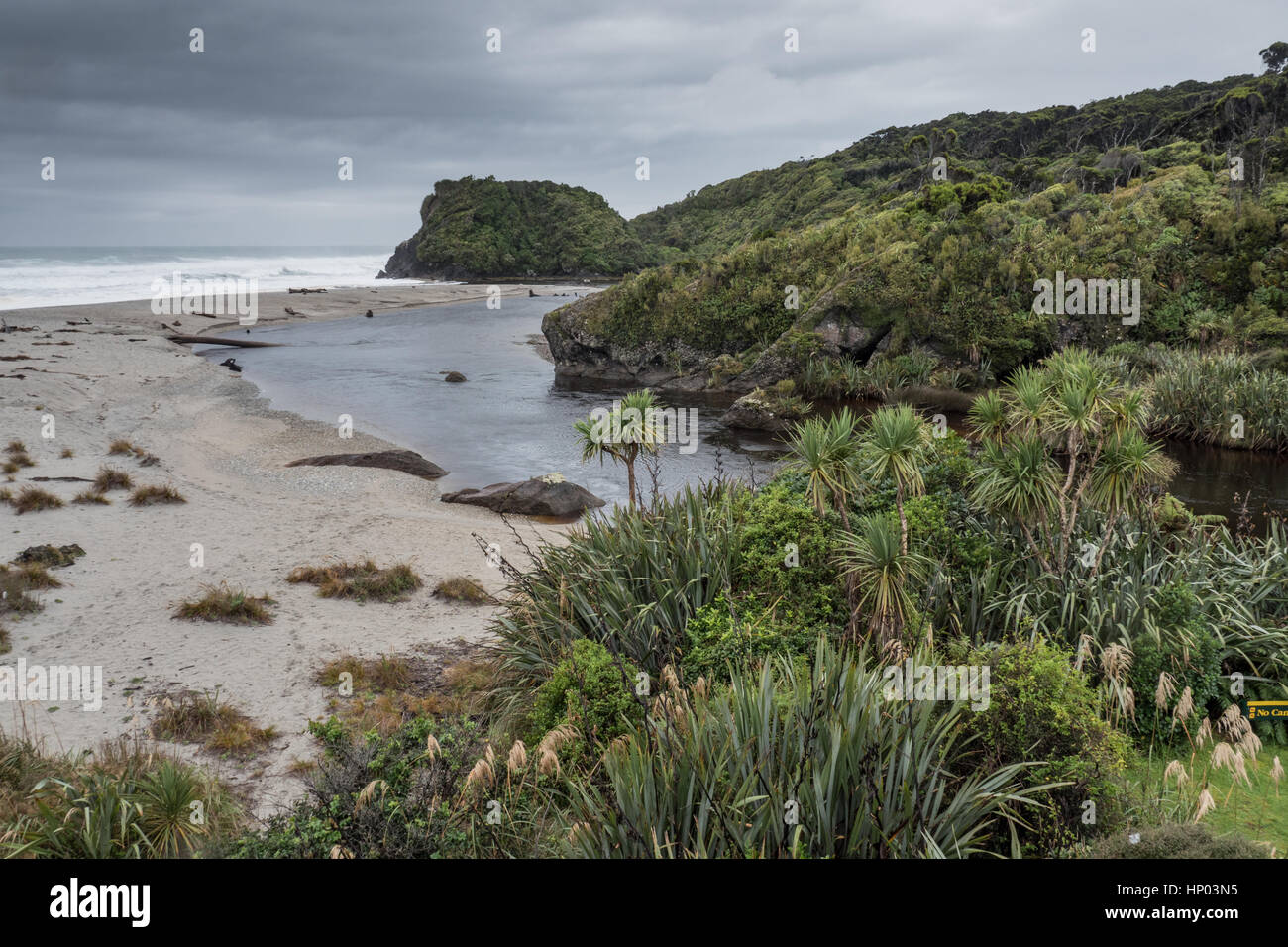 Nave Creek e Kahikatea palude foresta, Haast autostrada, South Island, in Nuova Zelanda. Foto Stock