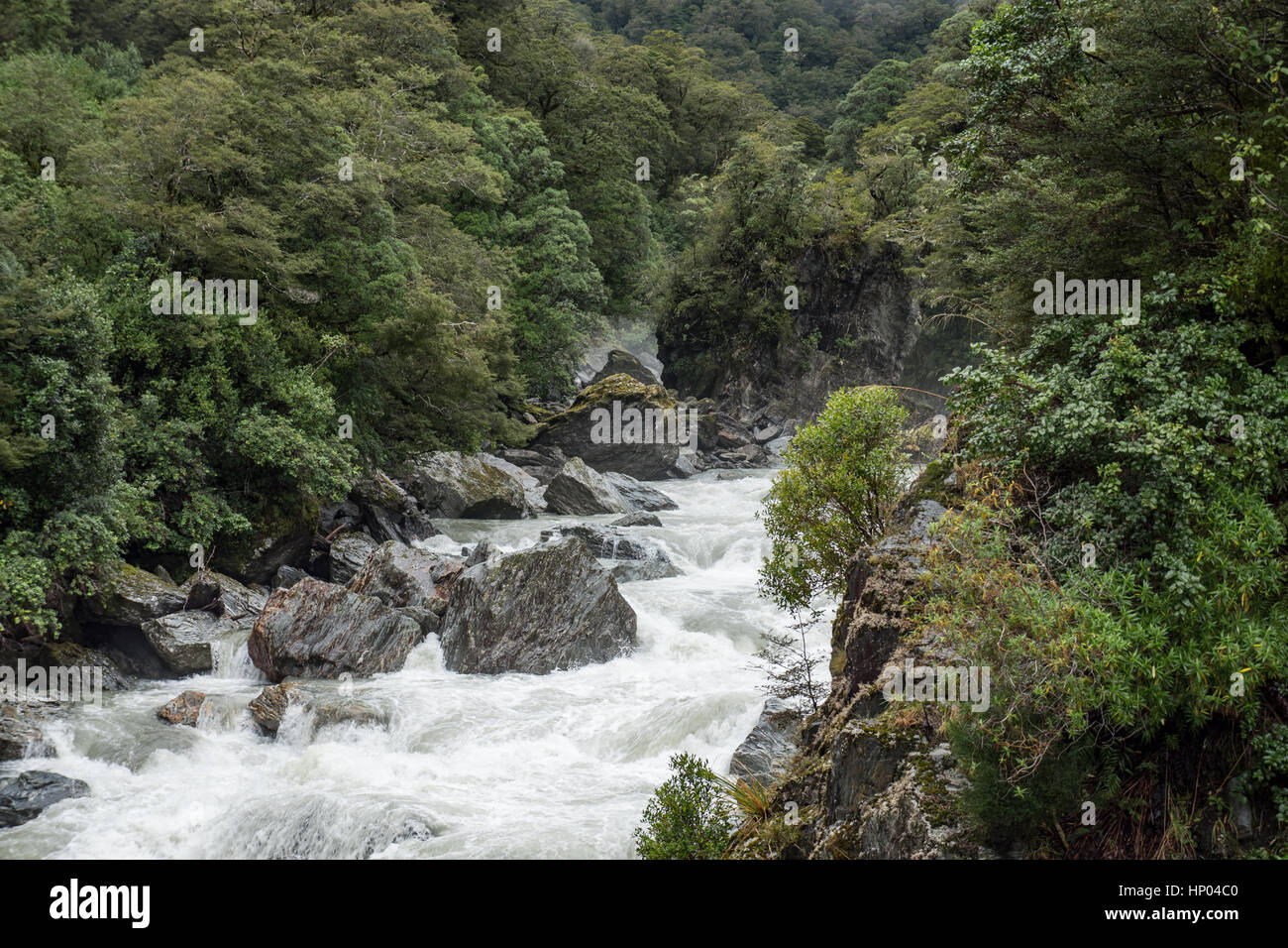 Haast river rapids nel montare gli aspiranti il Parco Nazionale di South Island, in Nuova Zelanda. Foto Stock