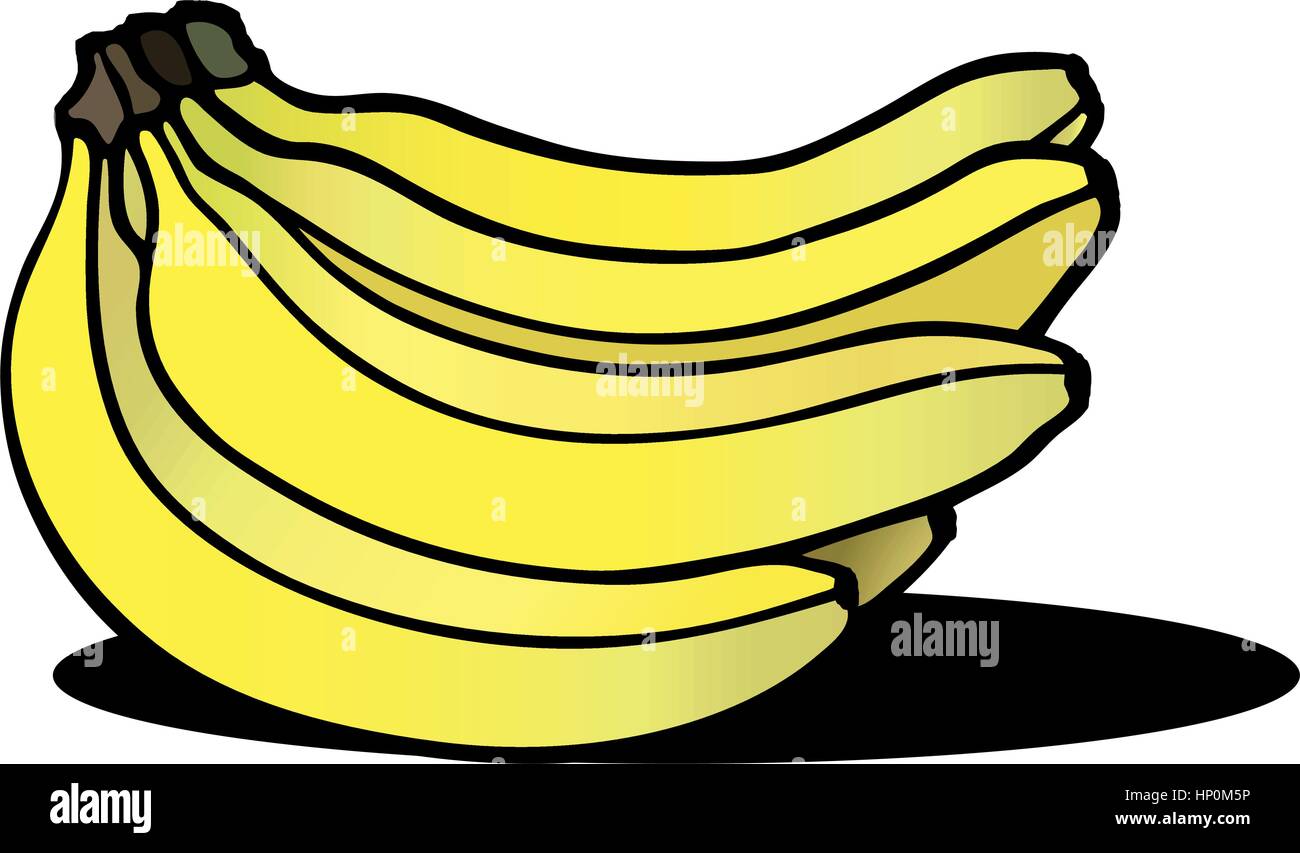 Un nuovo mazzo di banane. illustrazione vettoriale. Illustrazione Vettoriale