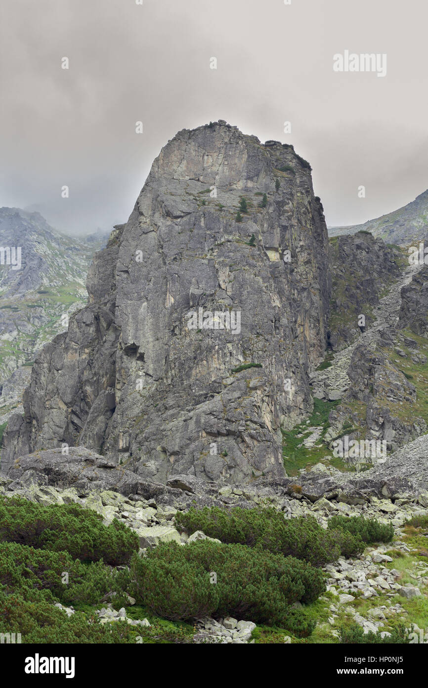 Paesaggio di montagna Foto Stock