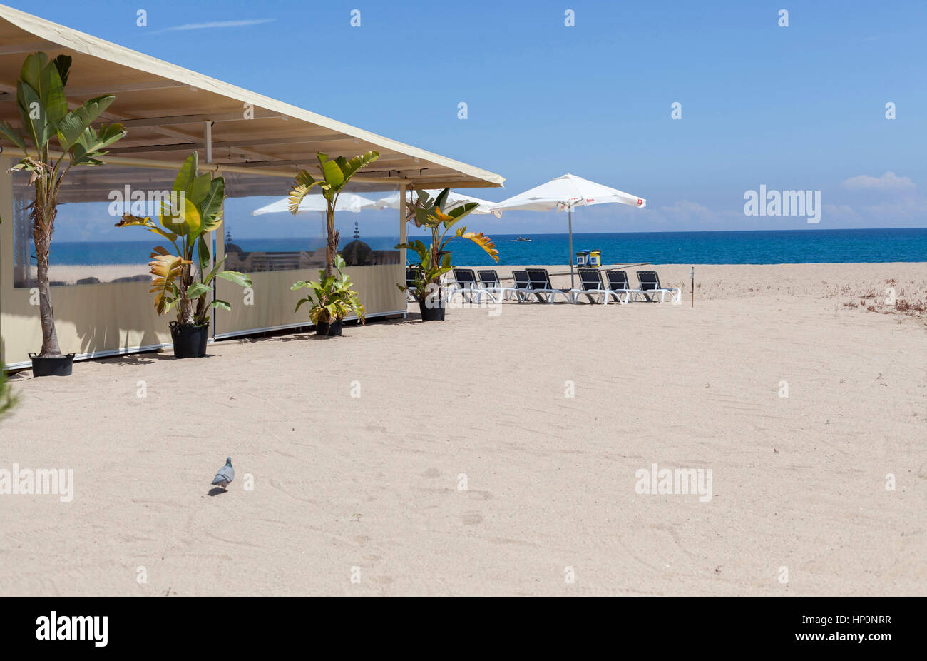 ARENYS DE MAR, Spagna-maggio 31,2016: spiaggia mediterranea di Arenys de Mar, bar terrazza con ombrellone e lettini, Maresme, provincia di Barcellona, in Catalogna. Foto Stock