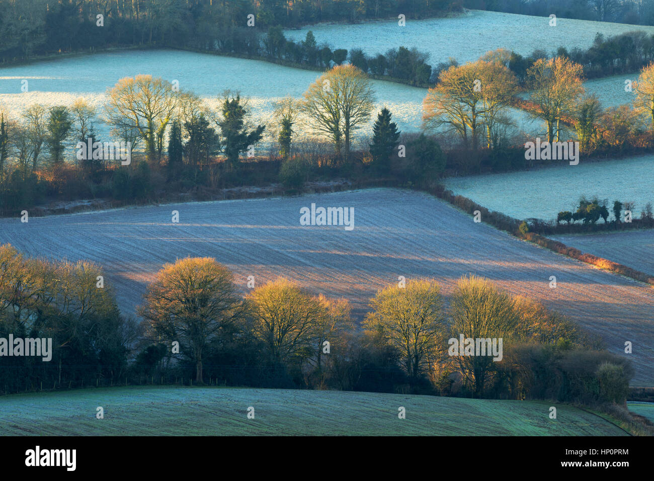 Alba sulle ondulate colline gallesi, a Trellech, nel Galles del Sud. Foto Stock