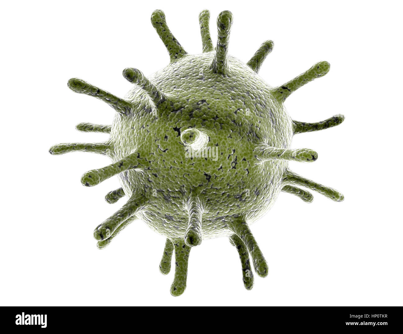 Batteri virus cella isolata su bianco Foto Stock