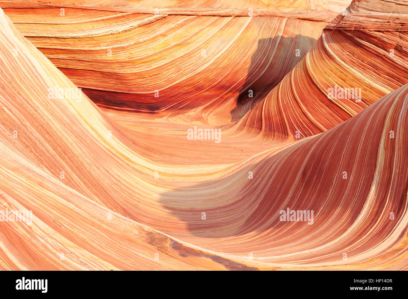 L'onda Coyote Buttes North, Arizona Foto Stock