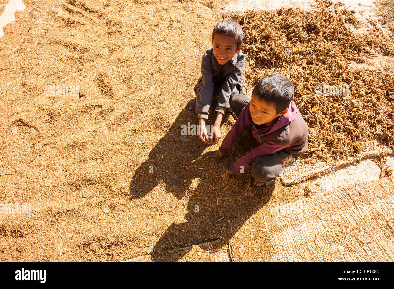 TAPLEJUNG, Nepal - 13 dicembre 2016: il nepalese di bambini che giocano in grani di nero trebbiato miglio, 13 dicembre 2016 in Taplejung, Nepal Foto Stock
