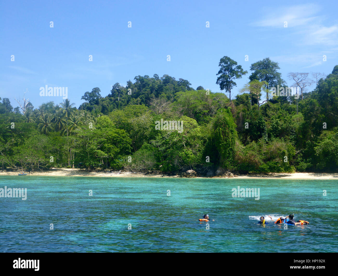 Snoorkeling in Koh Mook island o Ko Muk Isola, Trang, Krabi, Thailandia, Sud-est asiatico, in Asia. Sivalai Beach Resort. Koh Mook (MUK) è un piccolo rocky i Foto Stock