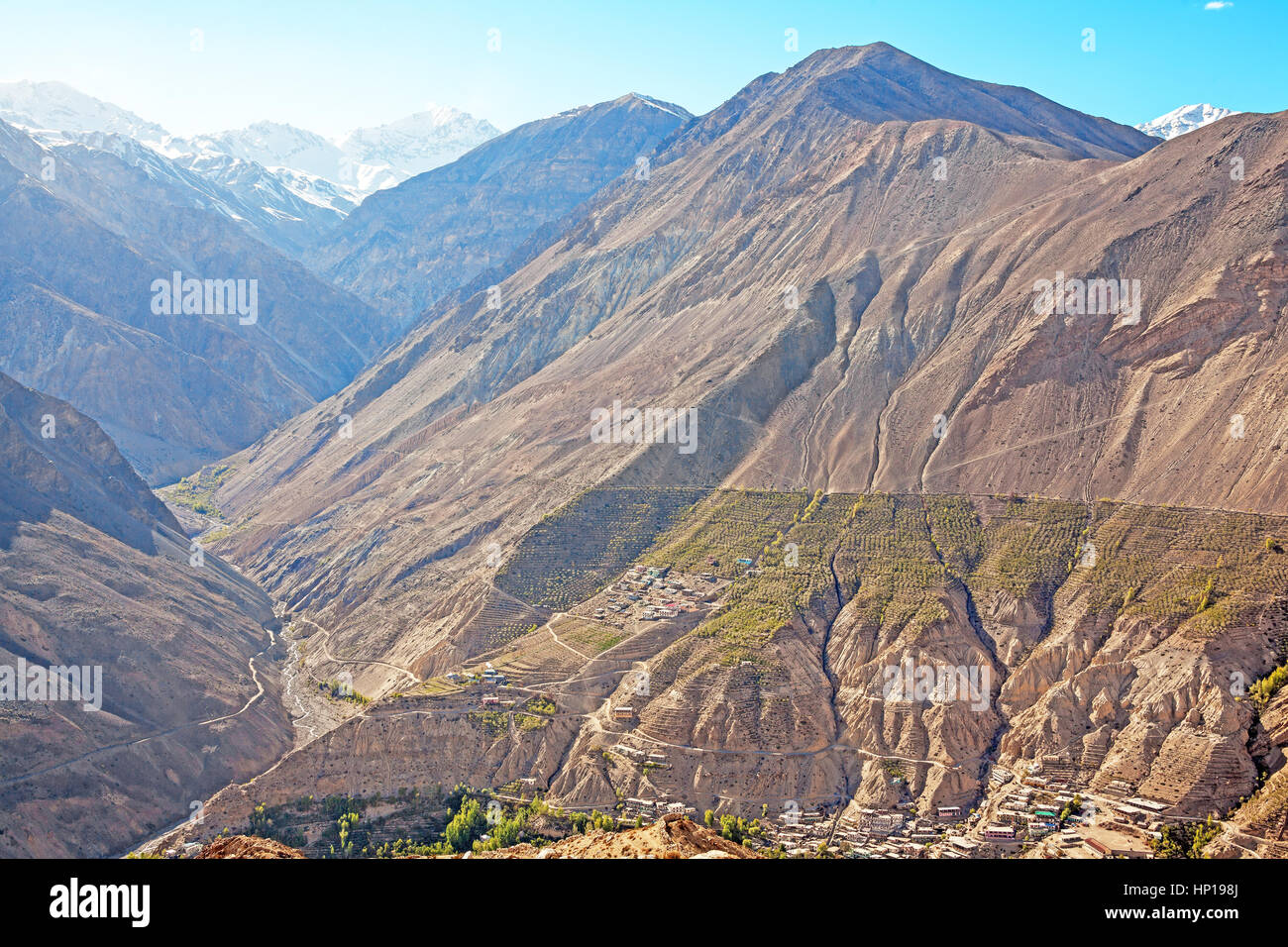 Oasi di verde nella Spiti valley, la vista dal villaggio di Nako, Himachal Pradesh, India. A schiera il concetto di agricoltura. Foto Stock