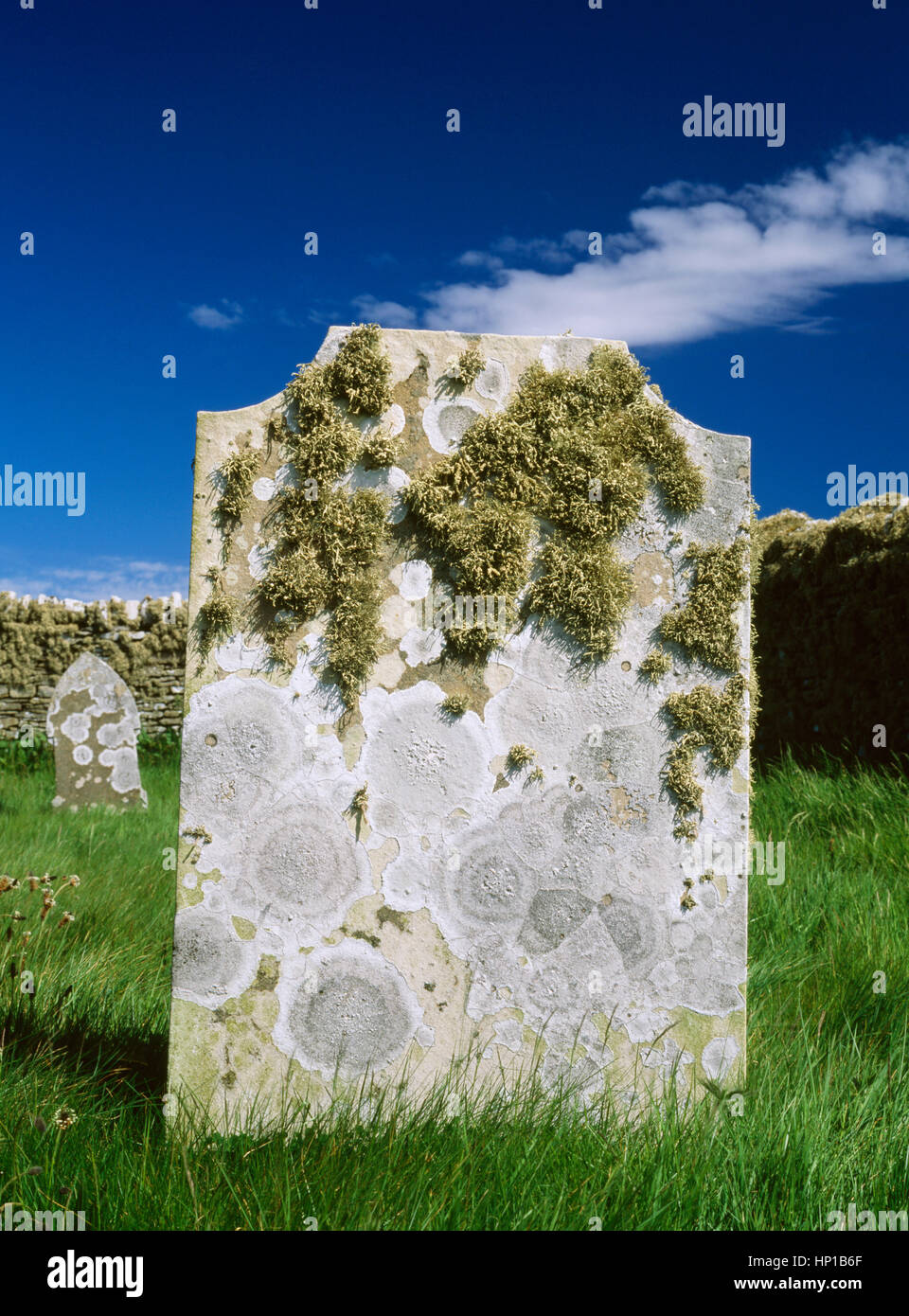 St Mary's cappella; Wyre; Isole Orcadi Scozia, Regno Unito: licheni crescono sulla lapide vicino al mare Foto Stock