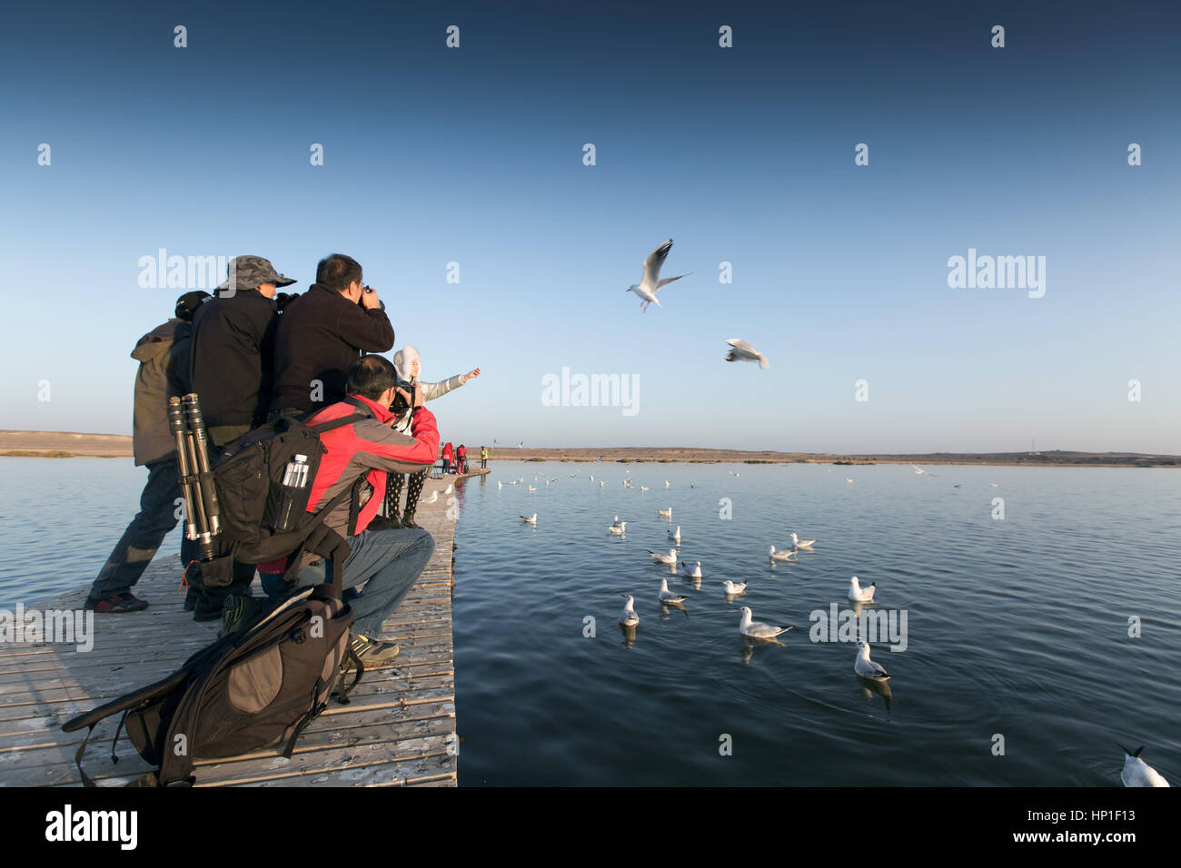 Febbraio 9, 2017 - Cina - Inner Mongolia, Cina-Febbraio 9 2017: (solo uso editoriale. Cina fuori) ..Il lago Juyan,chiamato anche come "Lago wan', è un ben noto entroterra del lago in Alxa, nel nord della Cina di Mongolia Interna Regione Autonoma, 9 febbraio 2017. (Credito Immagine: © SIPA Asia via ZUMA filo) Foto Stock