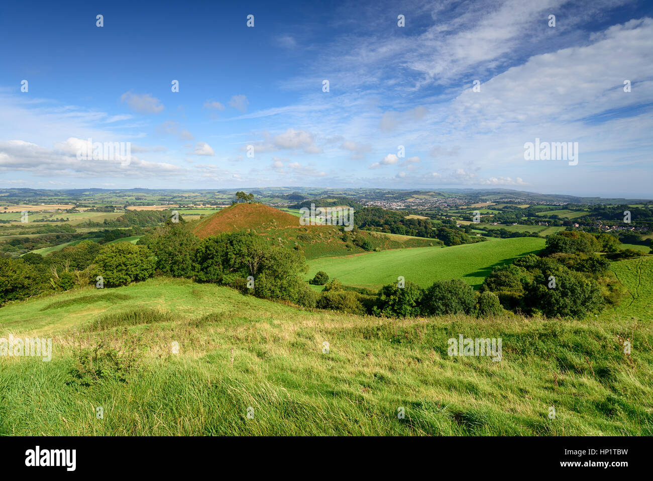 Bella campagna di Dorset guardando fuori oltre Colmer's Hill a Symondsbury vicino a Bridport Foto Stock