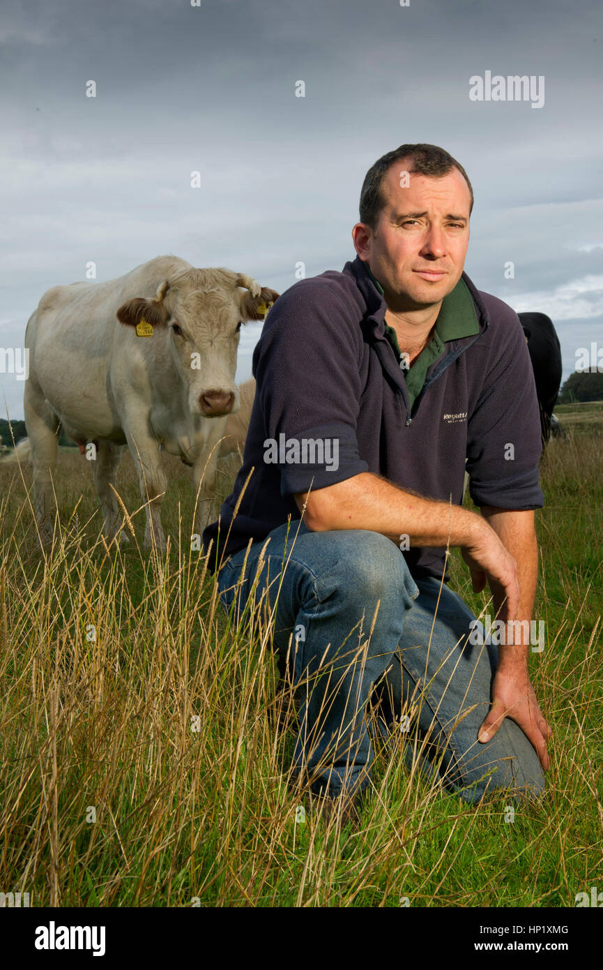 Carni bovine agricoltore james piccola con la sua mandria di bianco carni bovine di razza shorthorn bovini nella sua azienda in Mendip Hills, somerset, Regno Unito Foto Stock