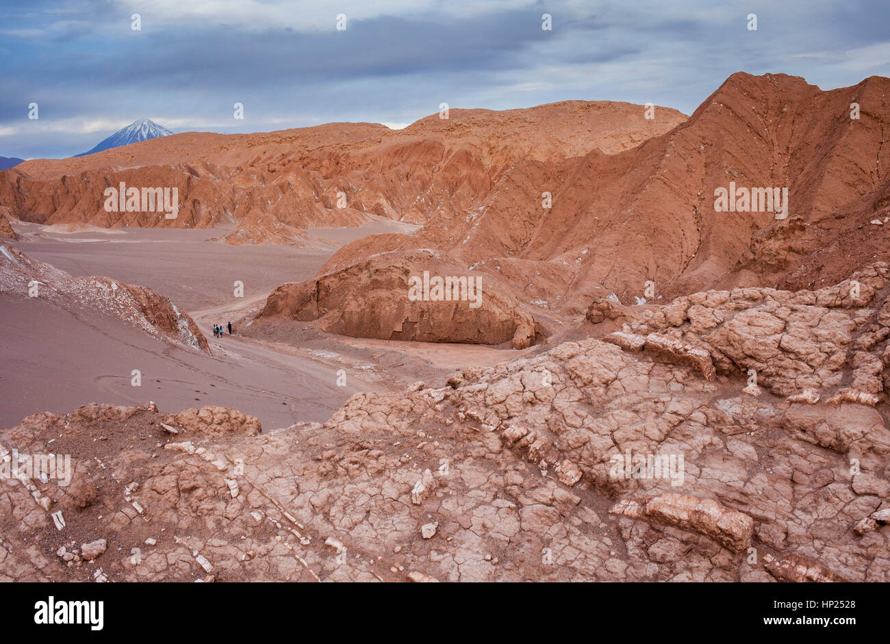 La Valle de la Muerte (Valle della Morte), il deserto di Atacama. Region de Antofagasta. Cile Foto Stock