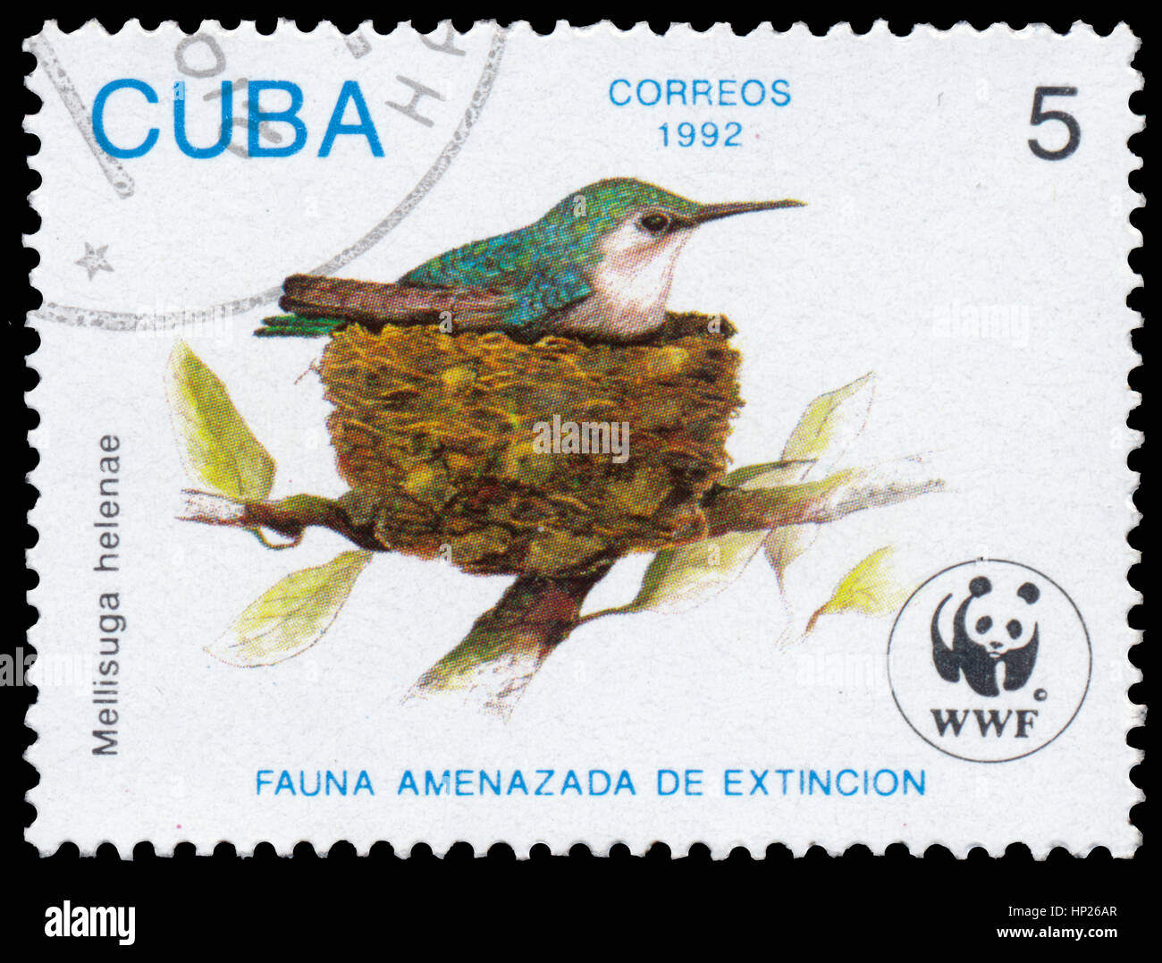 BUDAPEST, Ungheria - 16 febbraio 2017: timbro stampato in Cuba mostra bird Mellisuga helenae, circa 1992 Foto Stock