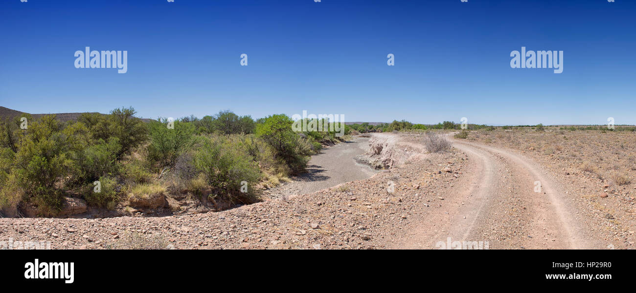 Un dry riverbed serpenti attraverso la savana nel Northern Cape, Sud Africa Foto Stock