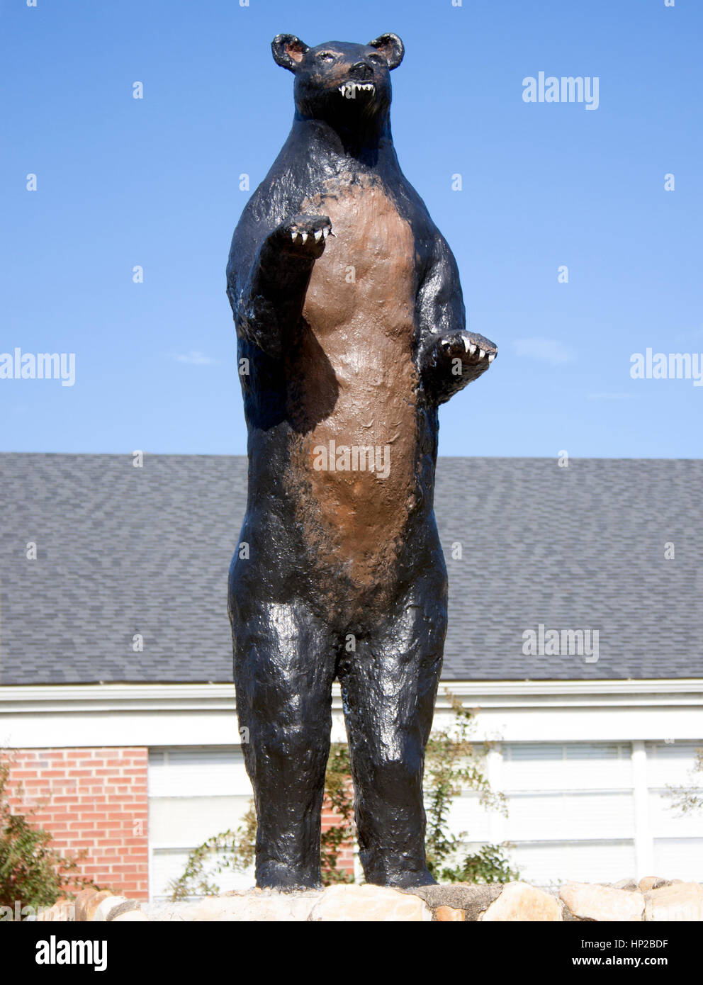 Orso gigante scultura di mascotte in orso erba Carolina del Nord Foto Stock