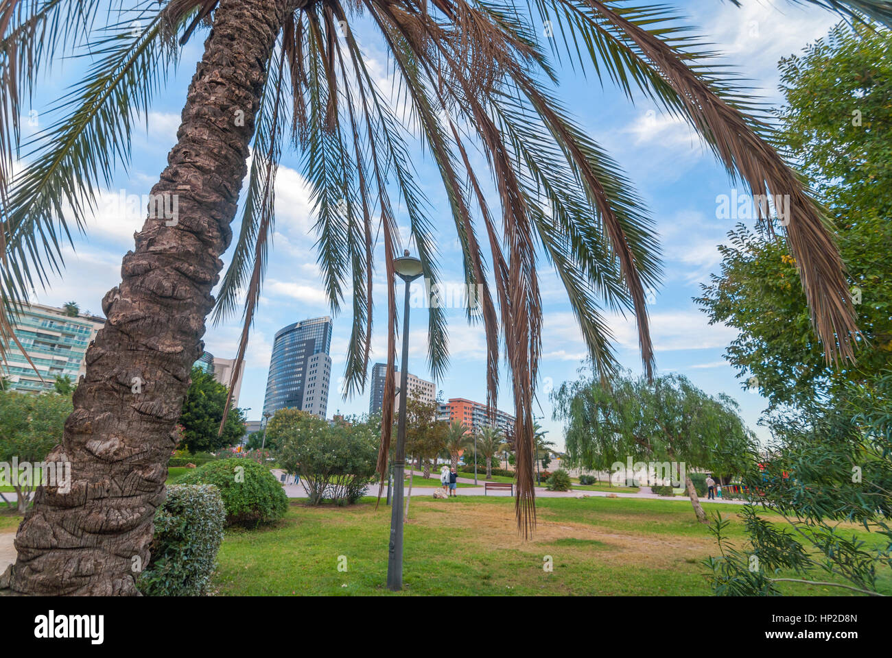 Bird si siede in cima a una lampada posta a Valencia parco urbano. Palm tree primo piano nella parte anteriore del city-scape. La gente all'aperto nel parco sulla giornata d'autunno. Foto Stock