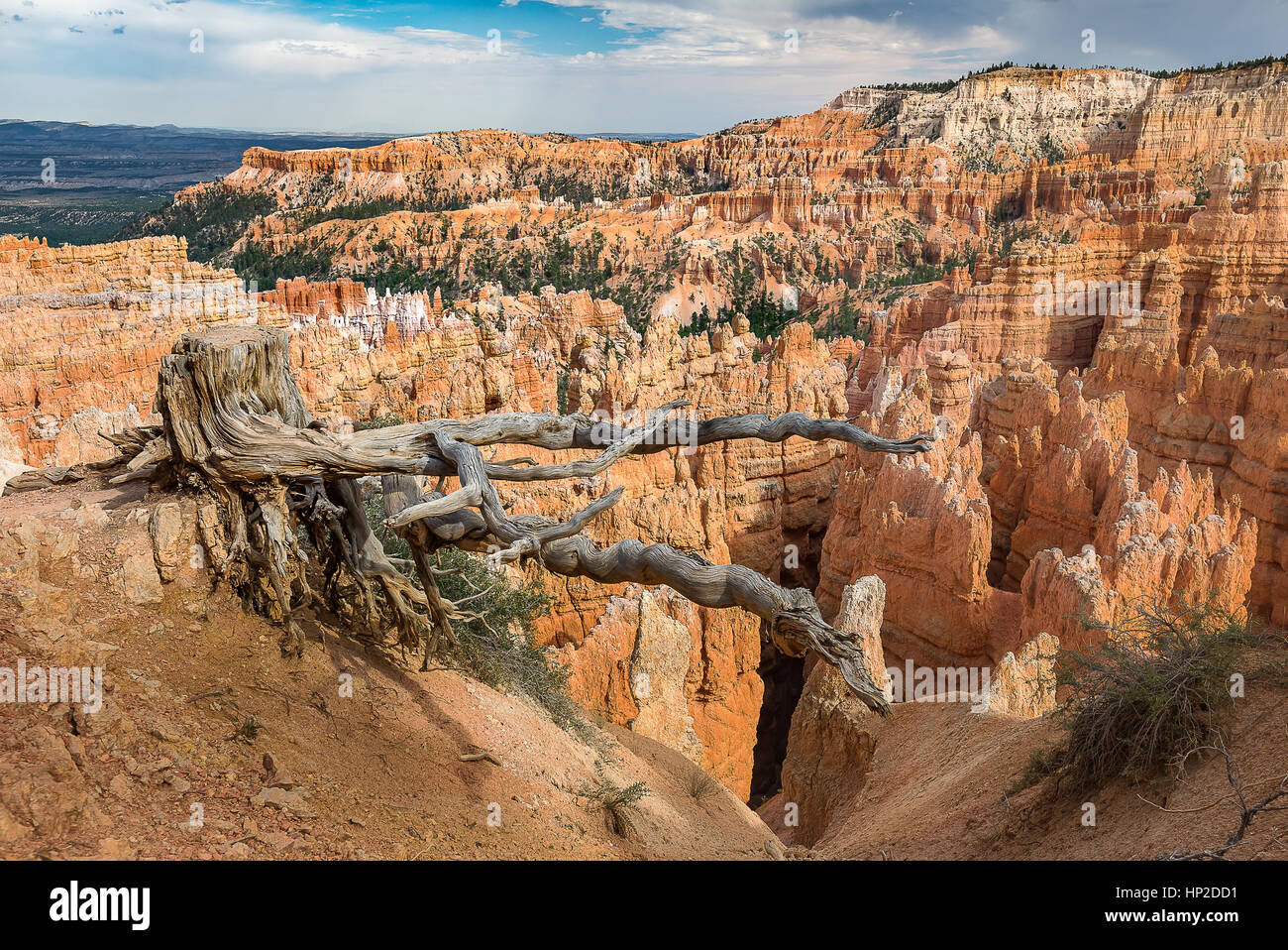 Bel paesaggio del parco nazionale di Bryce Canyon da trascurare Foto Stock