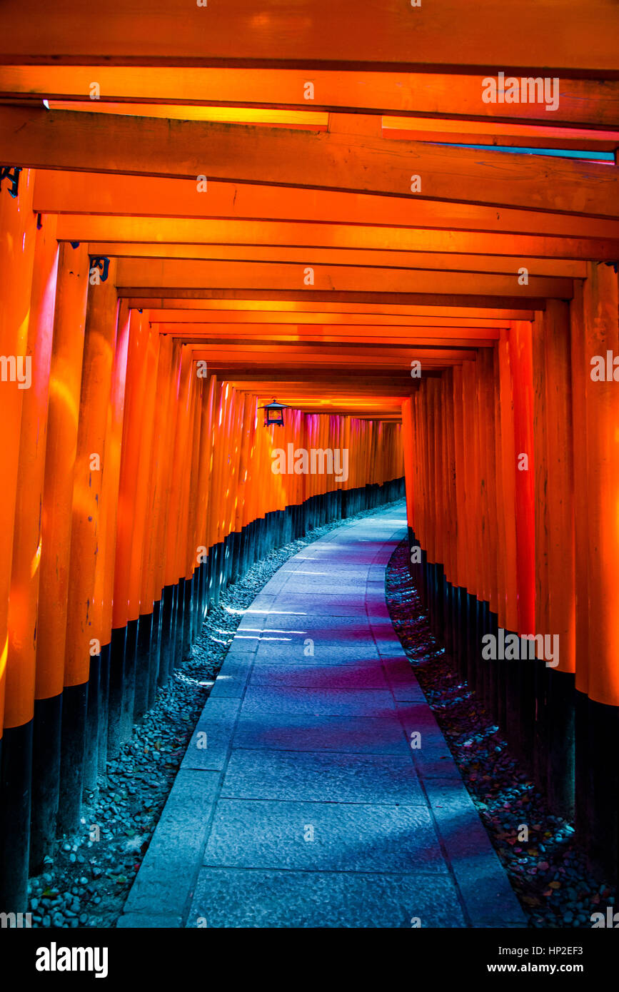 Fushimi Inari santuario giapponese di Kyoto Foto Stock