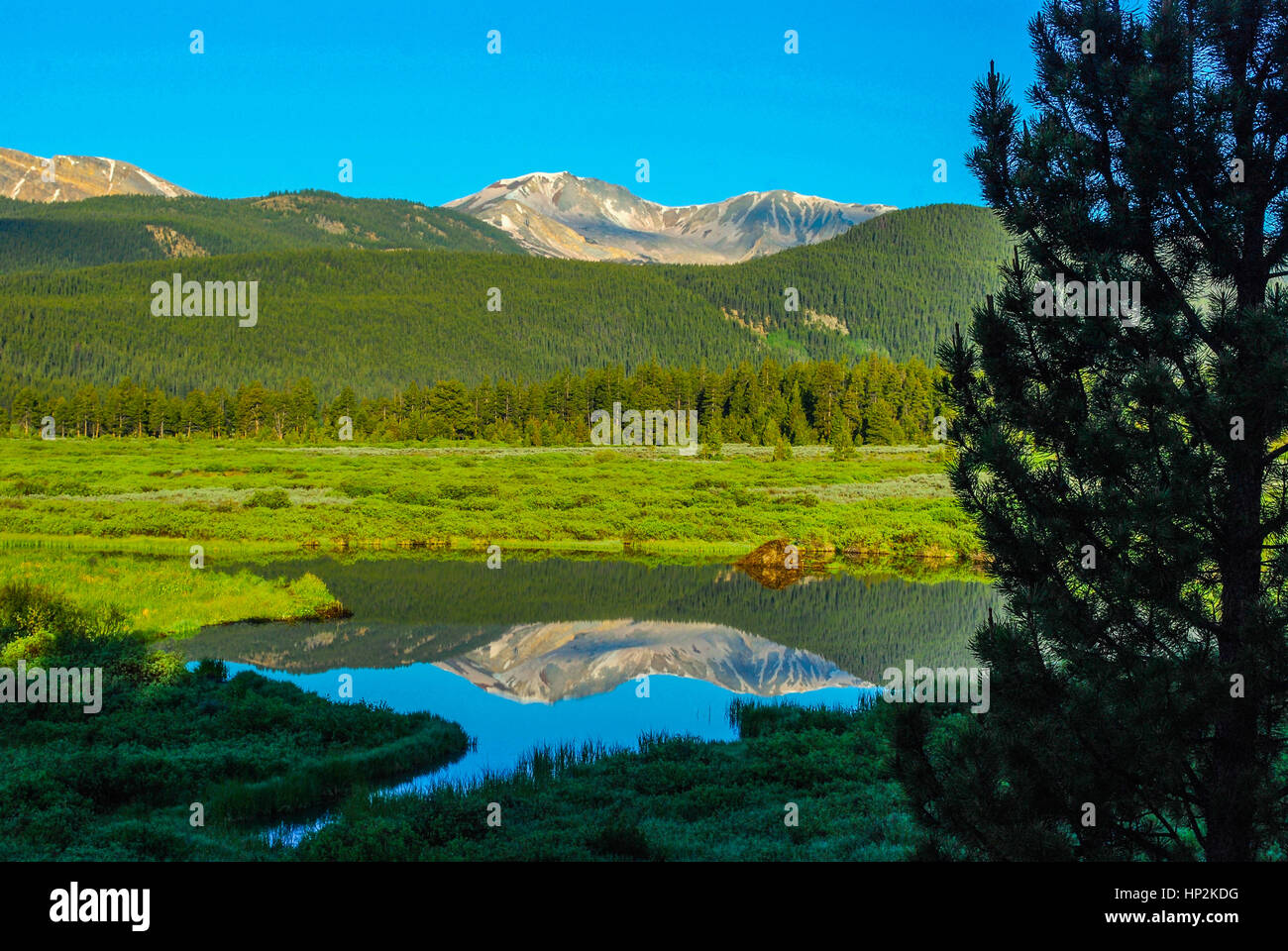 Una montagna bella riflessione di un lago di montagna del Colorado Foto Stock