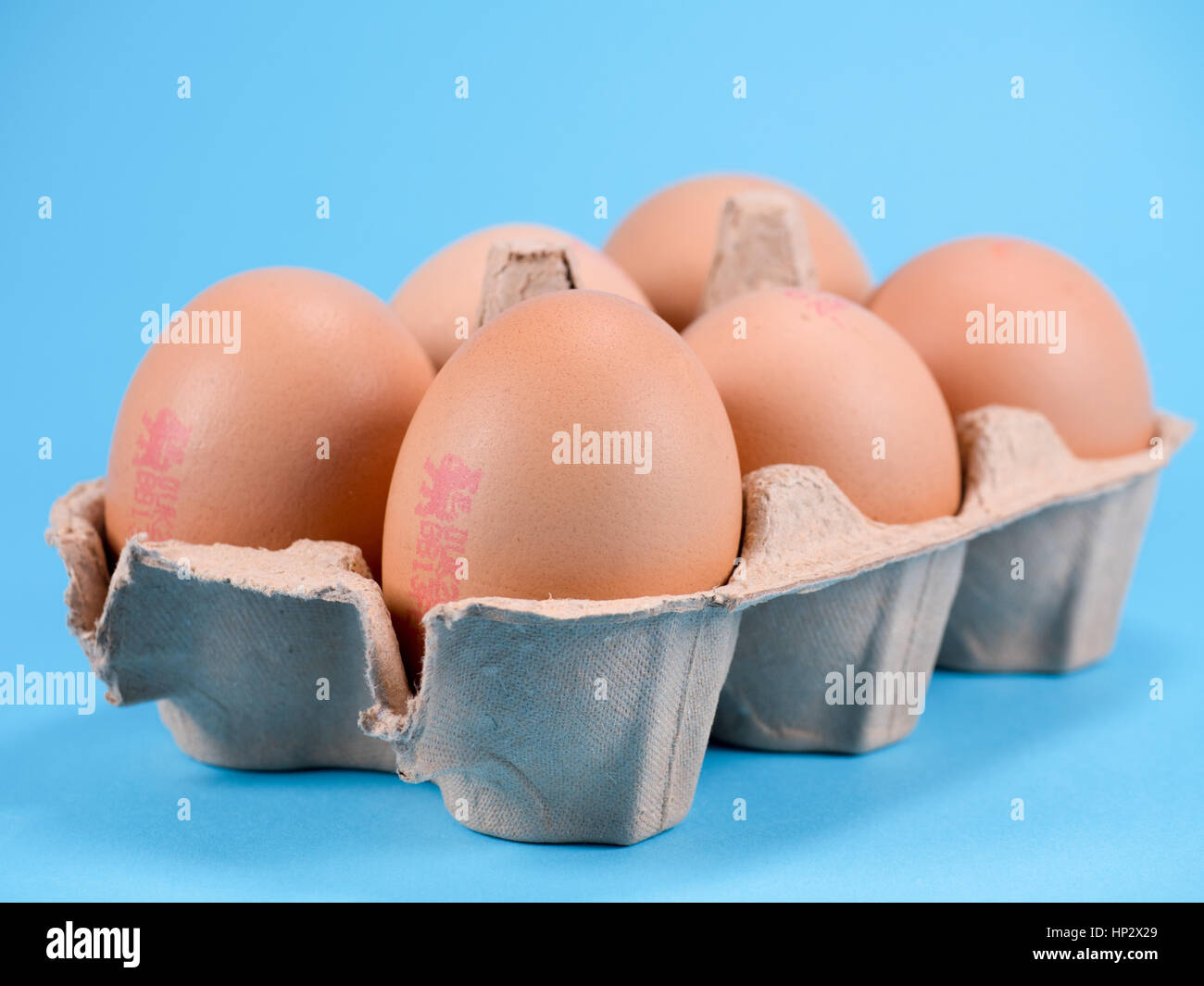 Una mezza dozzina di organico gamma libera le uova in una scatola per uova su un blu di sfondo per studio Foto Stock