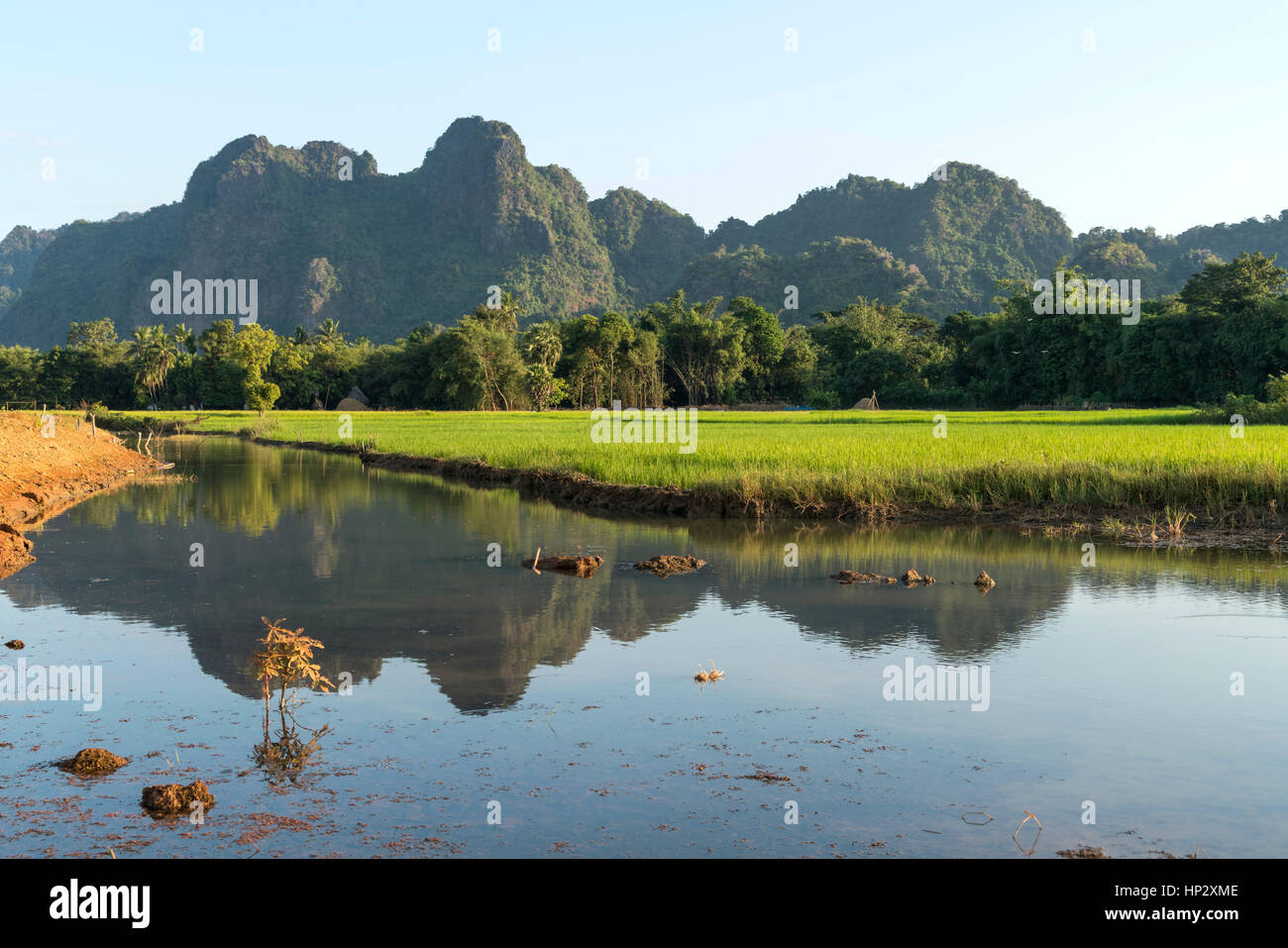 Landschaft mit Karstformationen und Reisfeldern, di Hpa-an, Myanmar, Asien | paesaggio con montagne carsiche e campi di riso, di Hpa-an, di Hpa-an, Myanmar, Foto Stock
