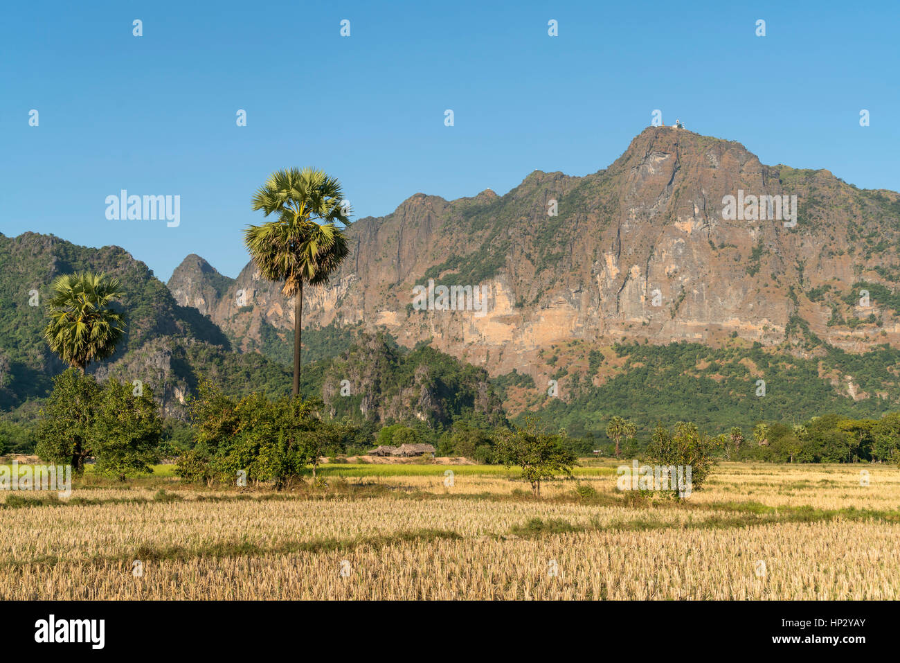 Reisfelder und der Berg Zwegabin, di Hpa-an, Myanmar, Asien | campi di riso e il monte Zwegabin, di Hpa-an, di Hpa-an, Myanmar, Asia Foto Stock
