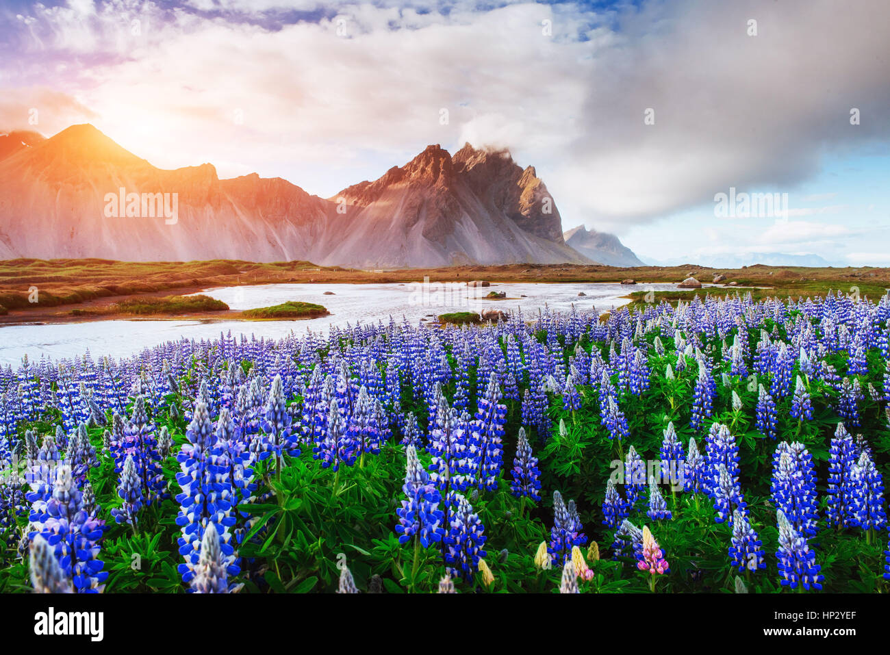I paesaggi pittoreschi boschi e montagne di Islanda Foto Stock