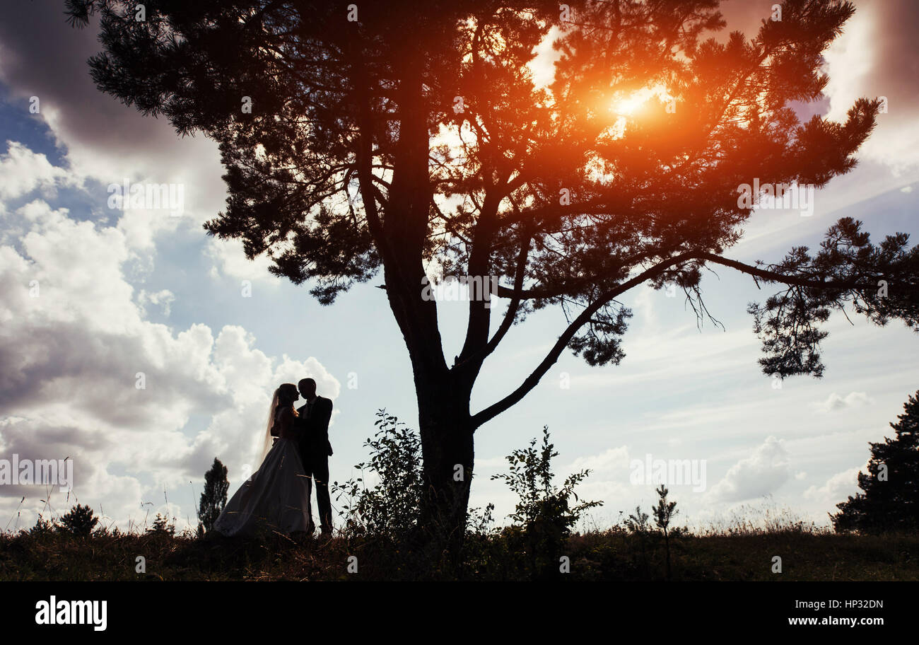 Ritratto di belle coppie in viaggio di nozze al tramonto Foto Stock