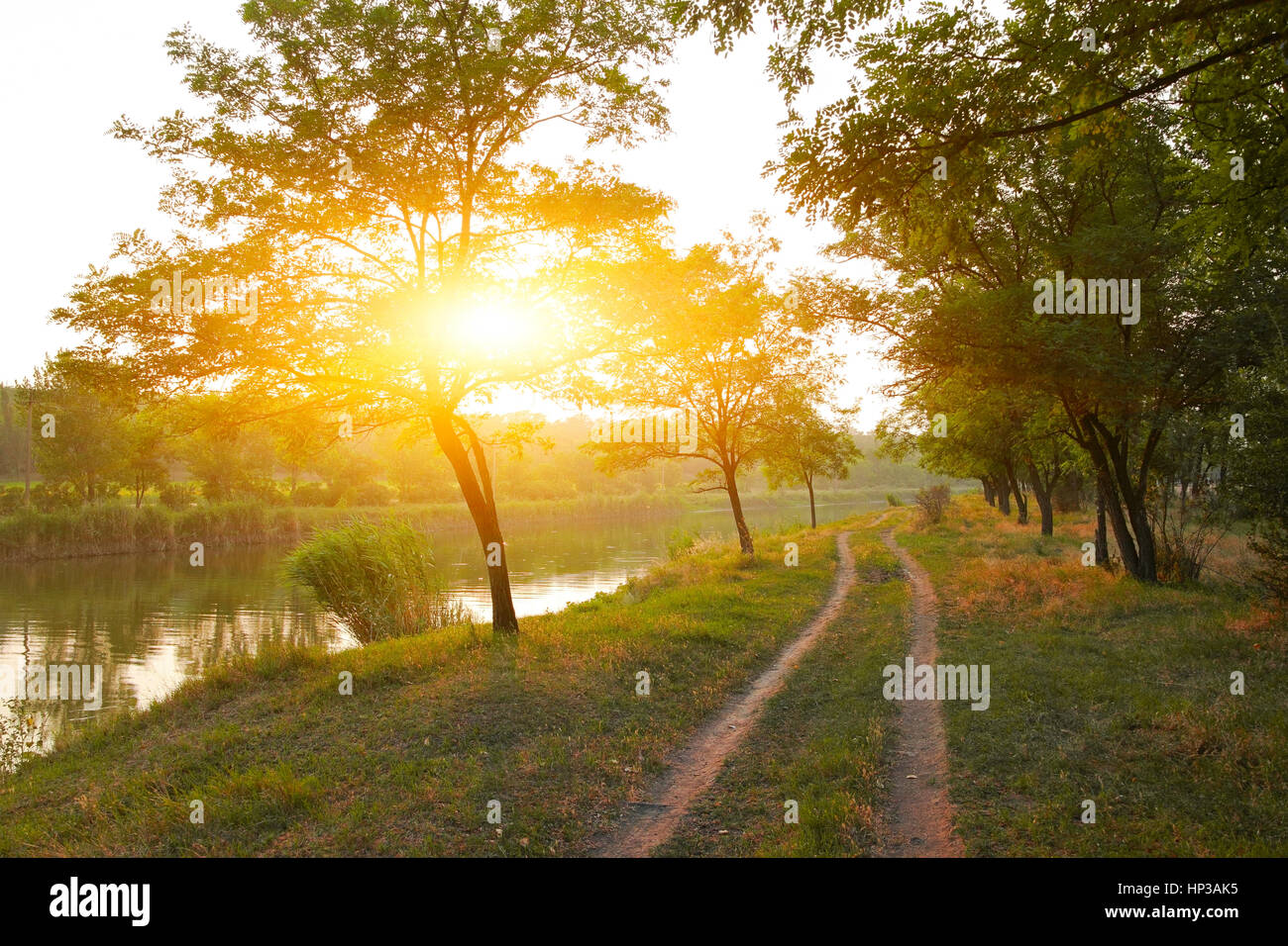 Paesaggio rurale, strada rurale lungo il fiume tra gli alberi al tramonto Foto Stock
