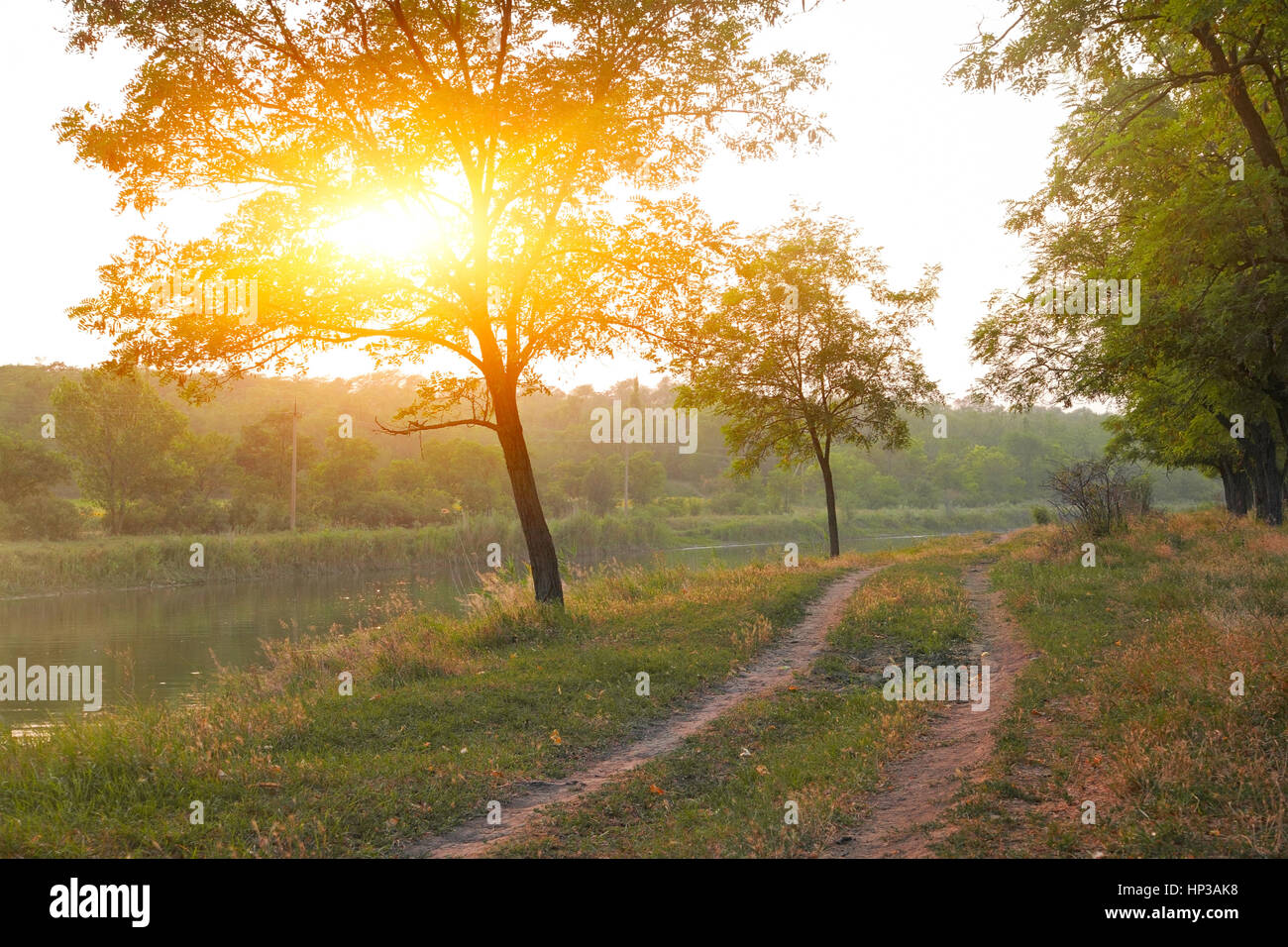 Paesaggio rurale, strada rurale lungo il fiume tra gli alberi al tramonto Foto Stock