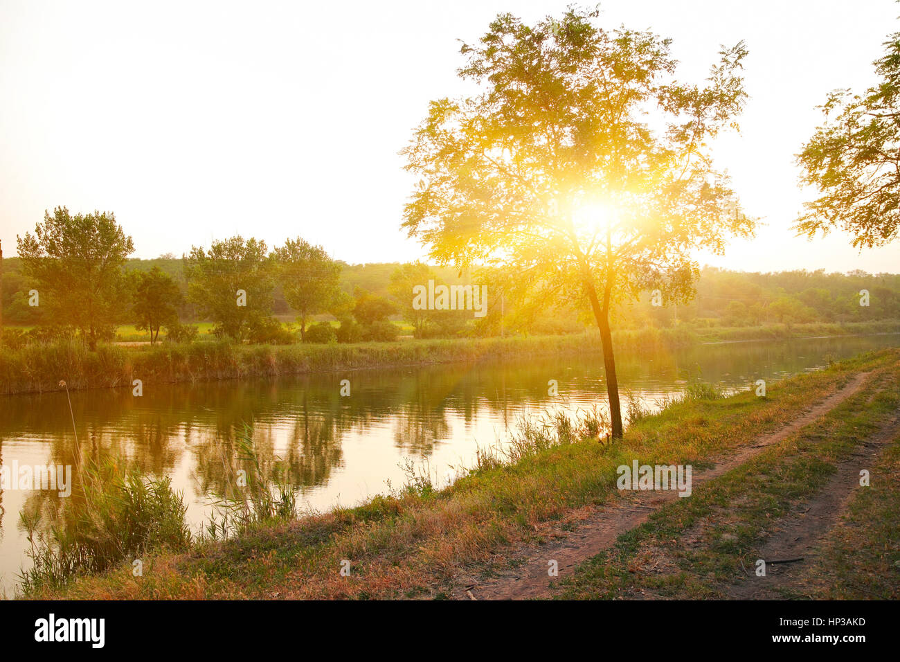 Paesaggio rurale, rurale strada sterrata lungo il fiume tra gli alberi al tramonto Foto Stock