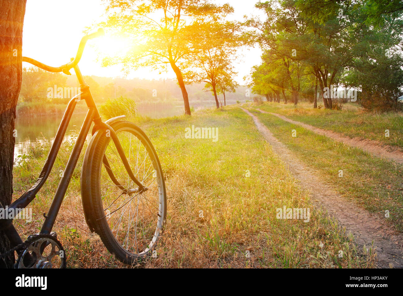 Paesaggio estivo, in bicicletta nei pressi di un albero sulla riva del fiume al tramonto Foto Stock