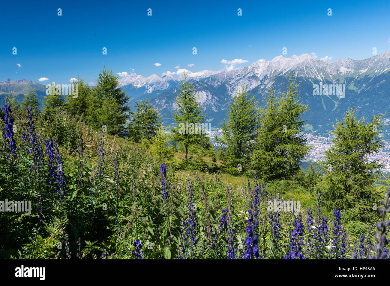 Vista dal Patscherkofel al Nordkette, Innsbruck, in Tirolo, Austria Foto Stock