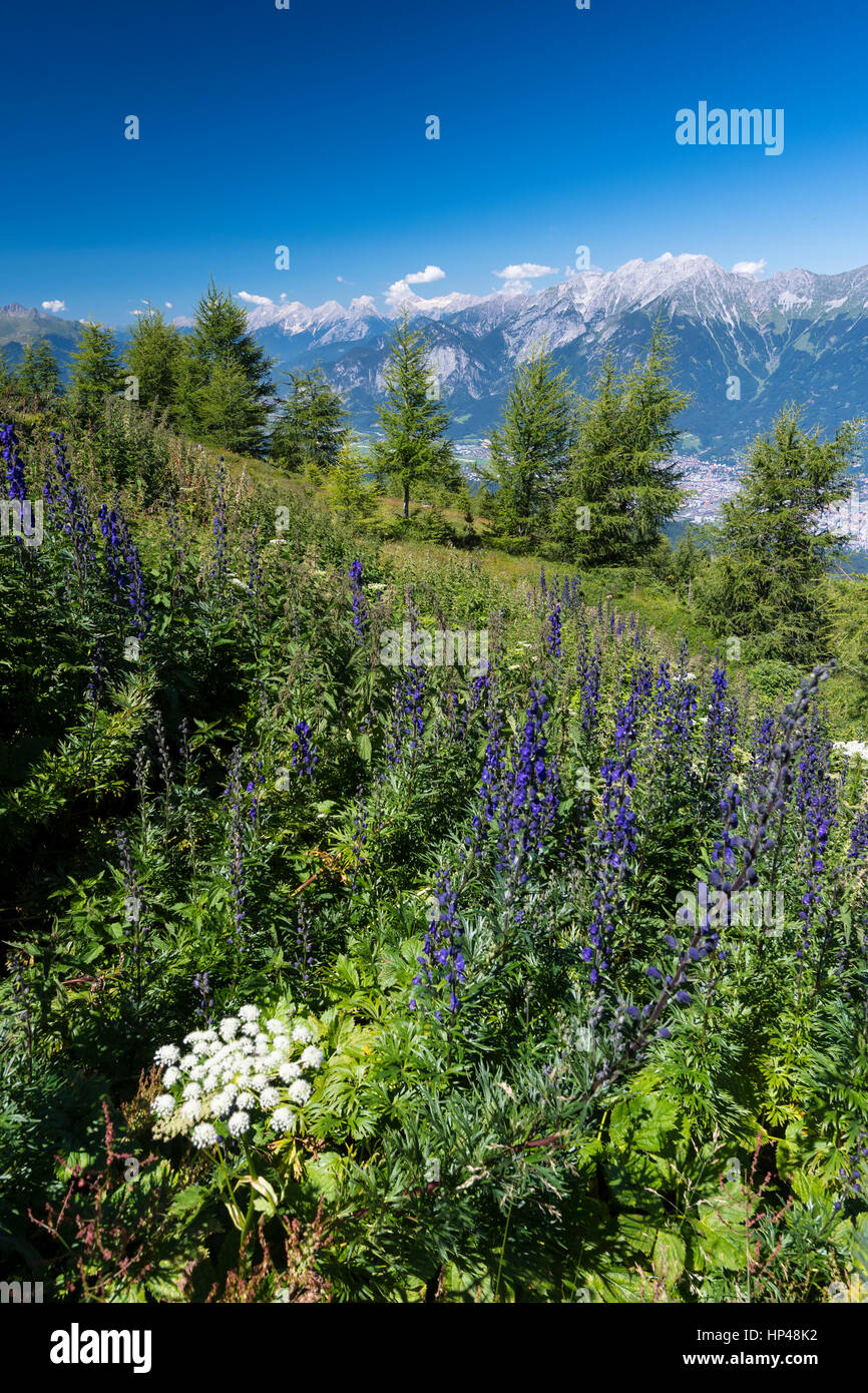 Vista dal Patscherkofel al Nordkette, Innsbruck, in Tirolo, Austria Foto Stock