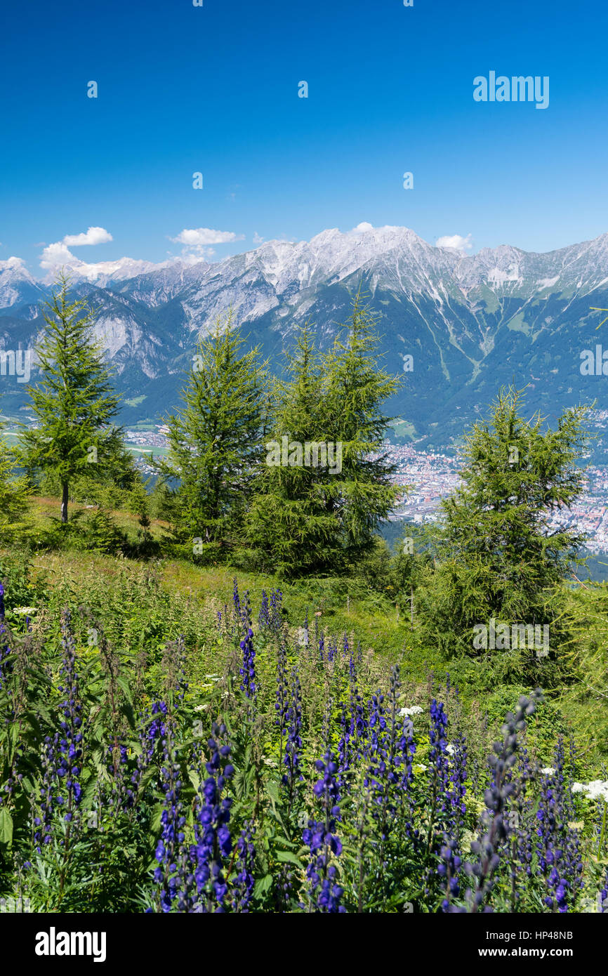 Vista dal Patscherkofel al Nordkette, Innsbruck, in Tirolo, Austria Foto Stock
