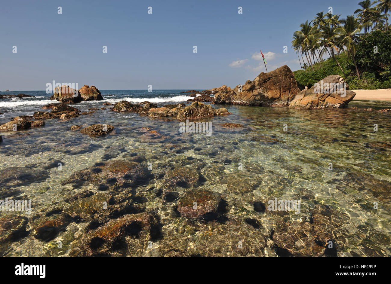 Acqua cristallina e spiaggia tropicale,Sri Lanka Foto Stock