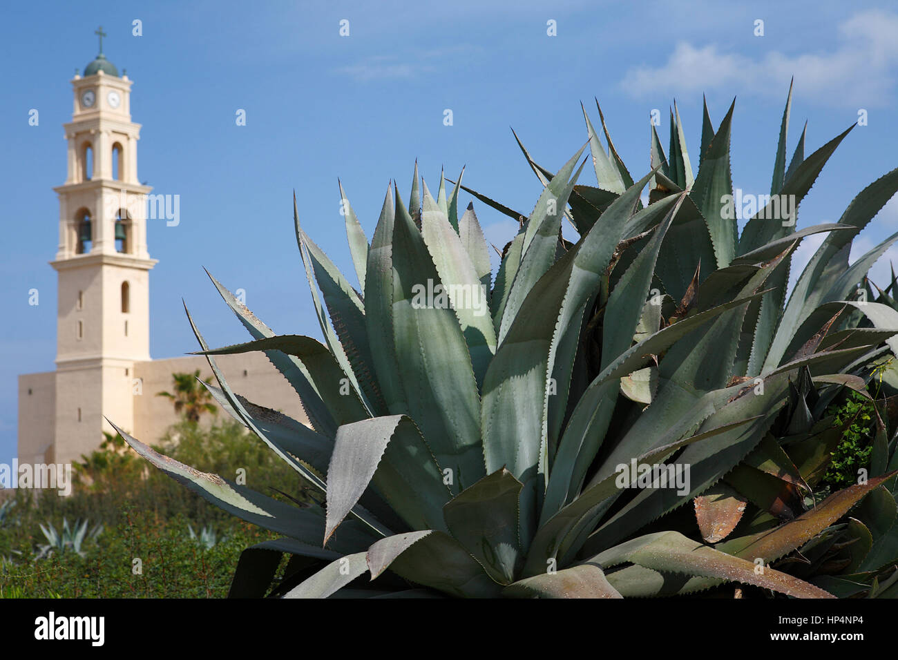 La chiesa di san Pietro nella città vecchia, tel aviv-yafo, Israele Foto Stock