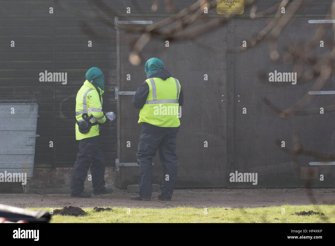 Defra i funzionari che si occupano di un focolaio del virus H5N8 di influenza aviaria nei pressi di Boston Lincolnshire Picture Tim Scrivener 07850 303986 tim@agriphoto.com ….riguardanti l'agricoltura nel Regno Unito…. Foto Stock