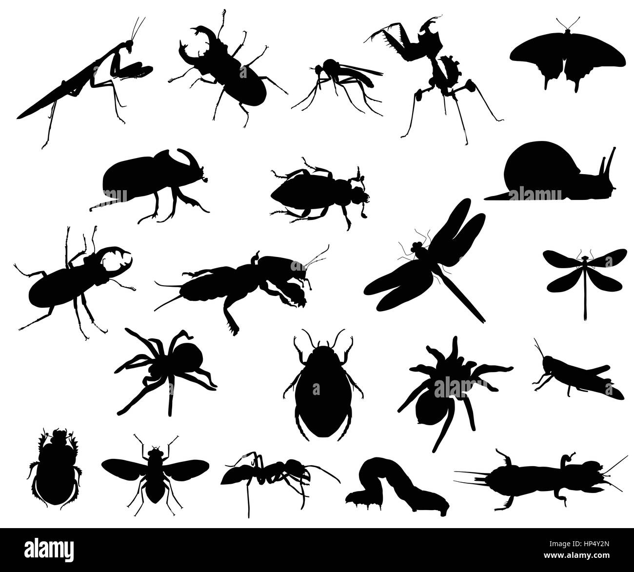Raccolta di sagome di diverse specie di insetti Illustrazione Vettoriale