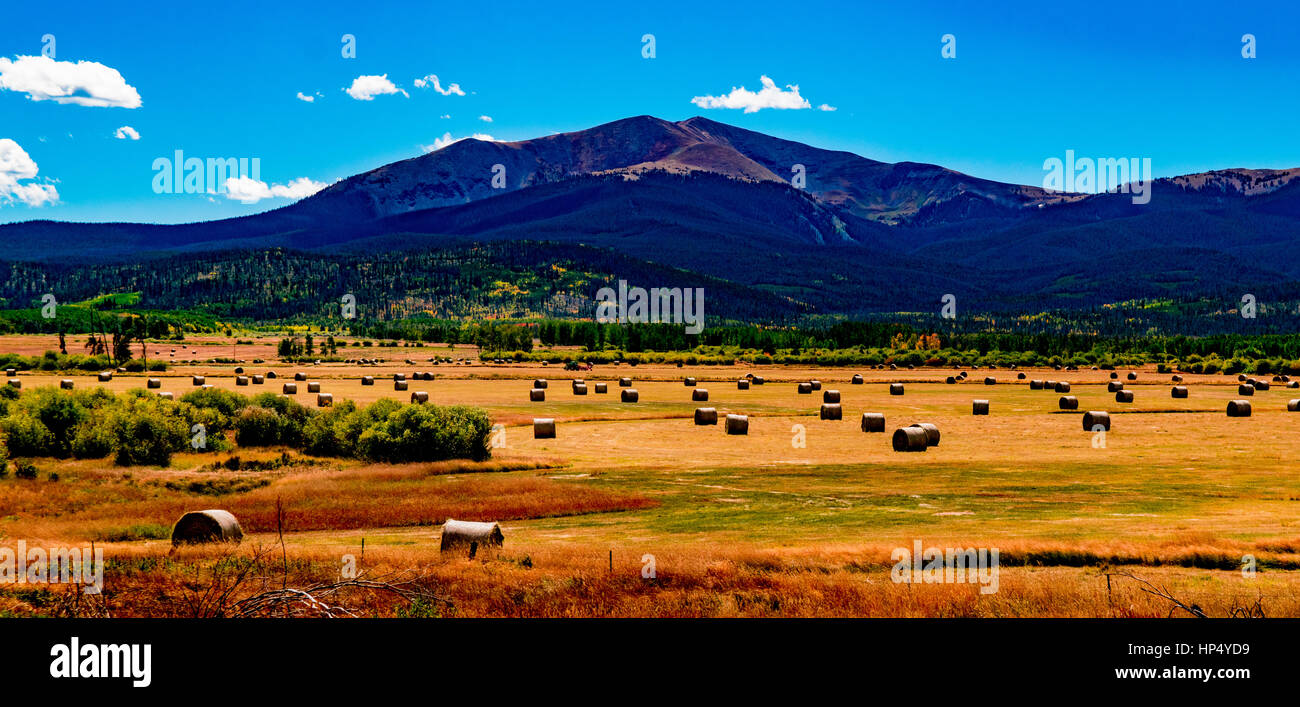 Un bellissimo campo di fieno in autunno Foto Stock