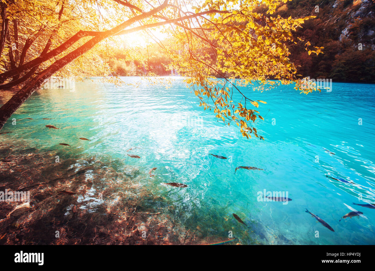 Vista del pesce azzurro del lago. I Laghi di Plitvice Nationa Foto Stock