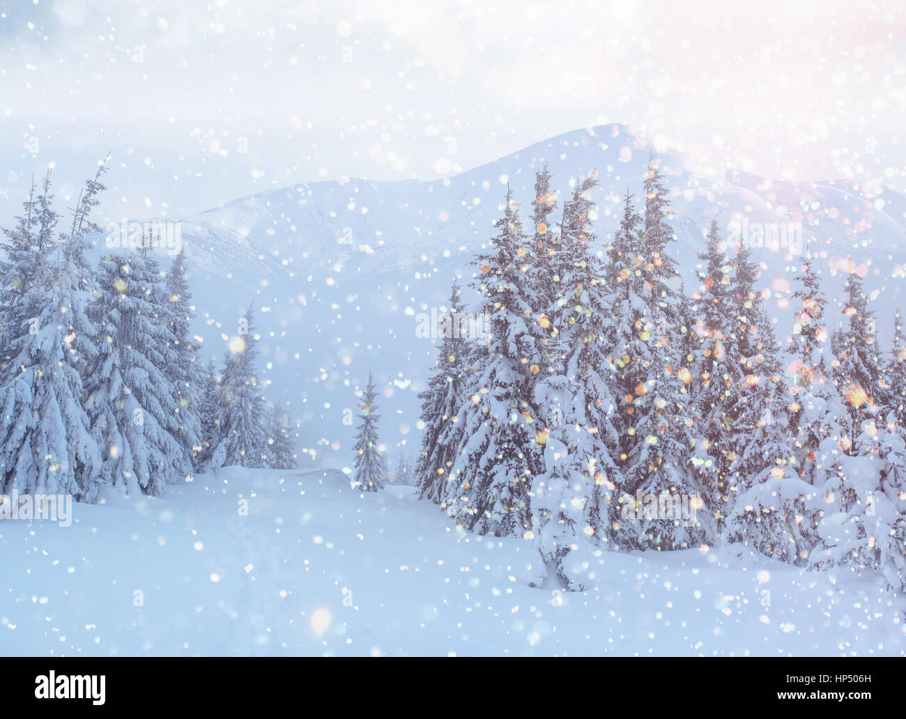 Paesaggio di inverno alberi e recinzioni in brina, sfondo con s Foto Stock